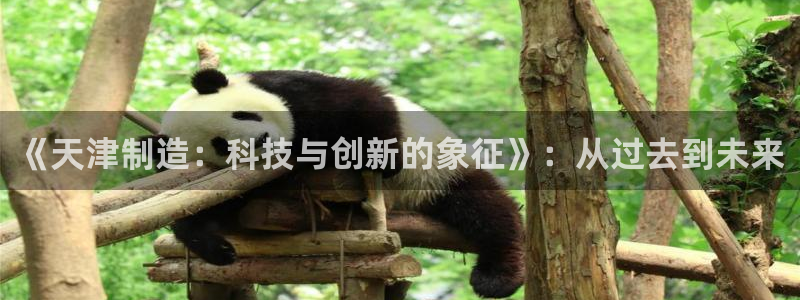 欧星娱乐最新地址：《天津制造：科技与创新的象征》：从过去到未