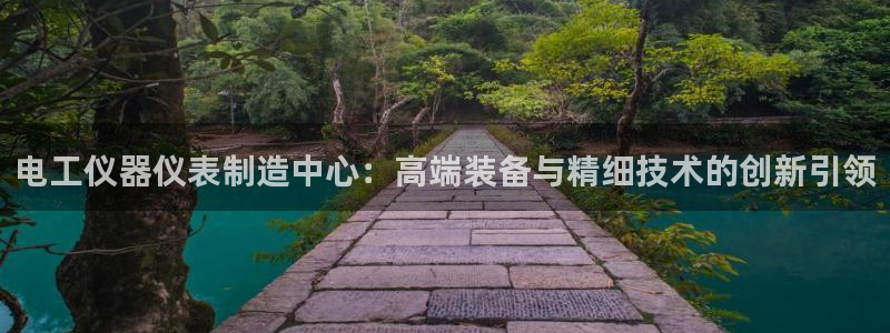 星欧娱乐注册章7O777：电工仪器仪表制造中心：高端装备与精