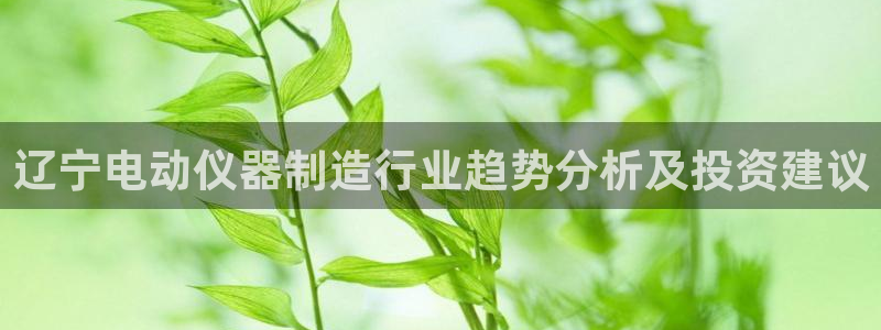 欧星娱乐棋牌官网：辽宁电动仪器制造行业趋势分析及投资建议