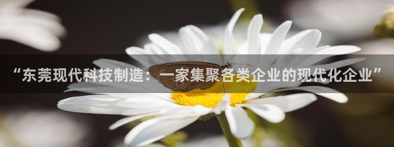 欧星娱乐游戏：“东莞现代科技制造：一家集聚各类企业的现代化企