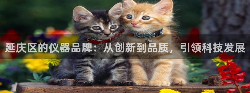 星欧娱乐文化无锡：延庆区的仪器品牌：从创新到品质，引领科技发