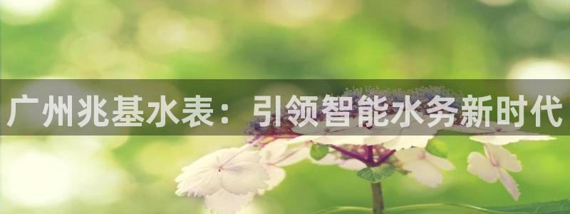 星欧娱乐公司老板背景：广州兆基水表：引领智能水务新时代