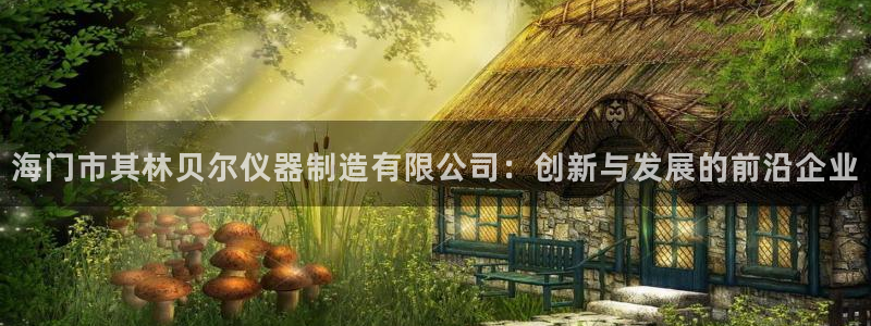 星欧娱乐官网登录：海门市其林贝尔仪器制造有限公司：创新与发展