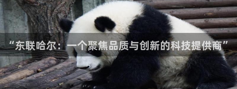 乌鲁木齐欧乐星娱乐：“东联哈尔：一个聚焦品质与创新的科技提供