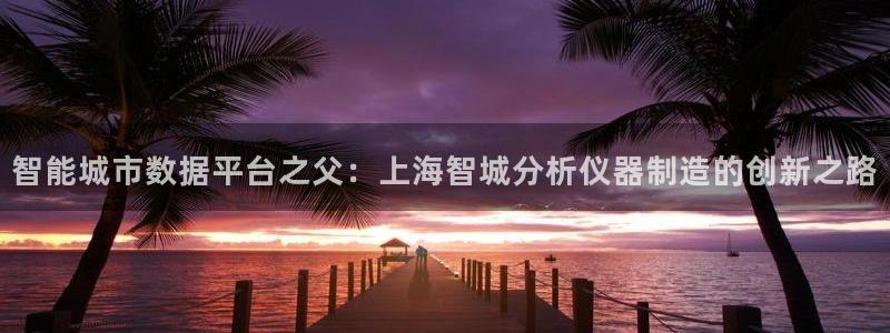 武汉欧汇星娱乐有限公司：智能城市数据平台之父：上海智城分析仪