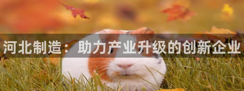 欧乐星城有没有娱乐设施：河北制造：助力产业升级的创新企业