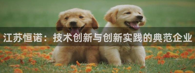 星欧娱乐官方网站首页：江苏恒诺：技术创新与创新实践的典范企业