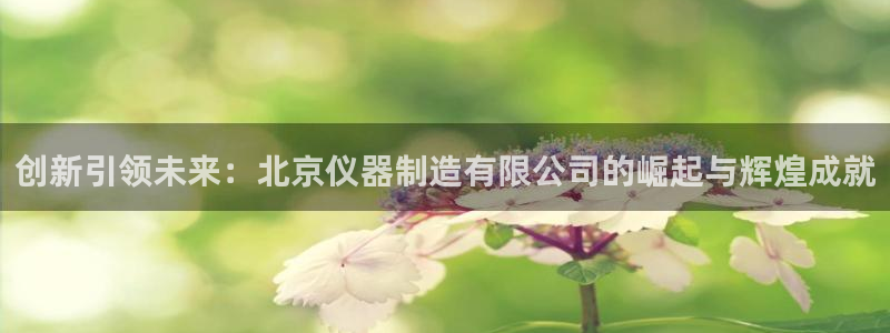 欧乐星城儿童娱乐：创新引领未来：北京仪器制造有限公司的崛起与