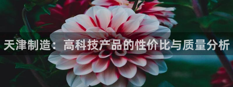 星辉娱乐欧联杯转播：天津制造：高科技产品的性价比与质量分析