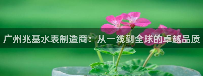 欧星娱乐竞技：广州兆基水表制造商：从一线到全球的卓越品质