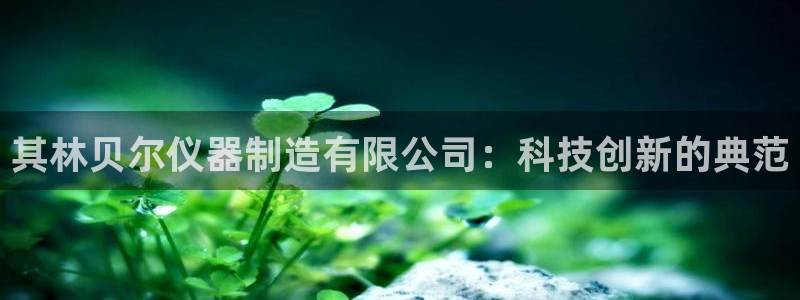 星欧娱乐注册开户：其林贝尔仪器制造有限公司：科技创新的典范