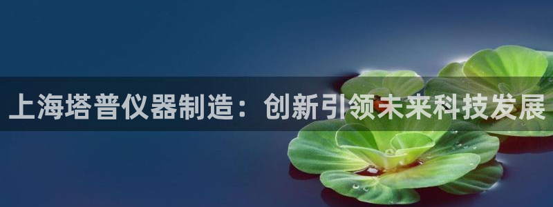 娱乐星天地欧豪：上海塔普仪器制造：创新引领未来科技发展
