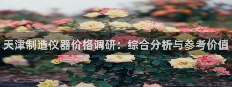 乌鲁木齐欧乐星城娱乐：天津制造仪器价格调研：综合分析与参考价