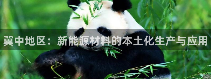 欧星娱乐国际平台：冀中地区：新能源材料的本土化生产与应用