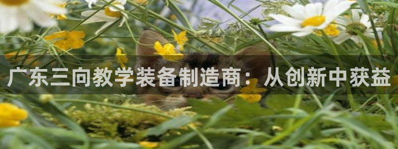 星欧娱乐怎么注册：广东三向教学装备制造商：从创新中获益