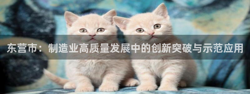 星欧娱乐平台怎么样：东营市：制造业高质量发展中的创新突破与示
