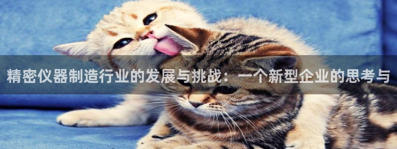 欧乐星城团购娱乐怎么样：精密仪器制造行业的发展与挑战：一个新