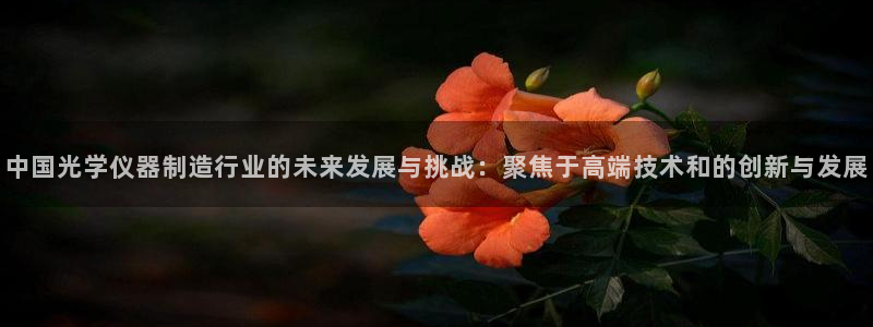 星欧娱乐客服电话：中国光学仪器制造行业的未来发展与挑战：聚焦