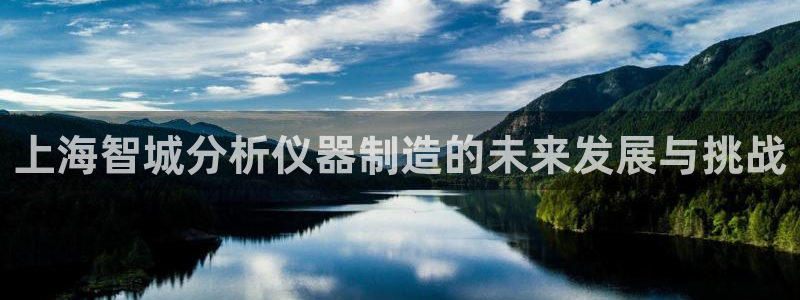 欧星娱乐平台：上海智城分析仪器制造的未来发展与挑战