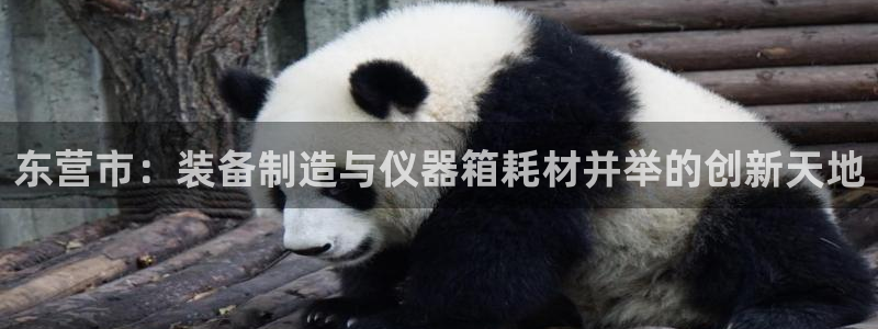 欧乐星城团购娱乐怎么样：东营市：装备制造与仪器箱耗材并举的创