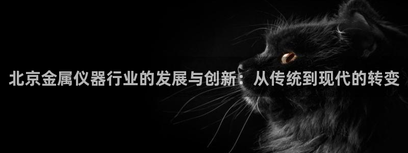 星辉娱乐进入欧联杯了吗：北京金属仪器行业的发展与创新：从传统