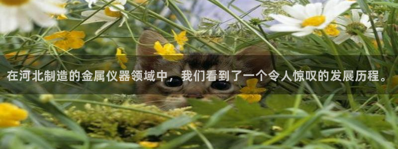 星欧娱乐官方网站首页：在河北制造的金属仪器领域中，我们看到了