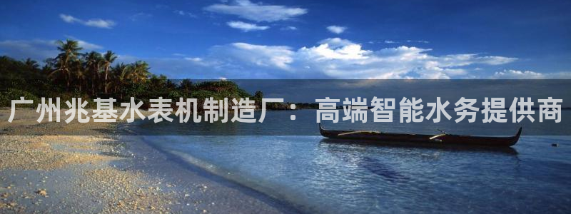 欧星娱乐网站：广州兆基水表机制造厂：高端智能水务提供商