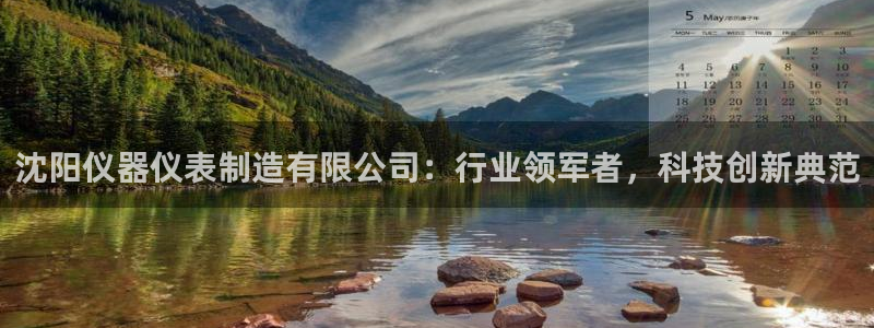 星欧娱乐平台电话：沈阳仪器仪表制造有限公司：行业领军者，科技