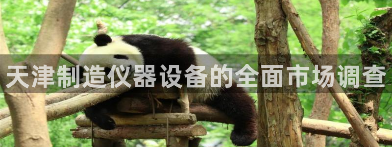 常州欧尚超市五星店娱乐：天津制造仪器设备的全面市场调查
