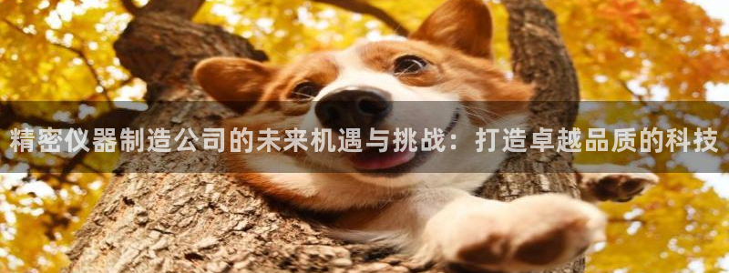 星欧娱乐是正规品牌吗：精密仪器制造公司的未来机遇与挑战：打造