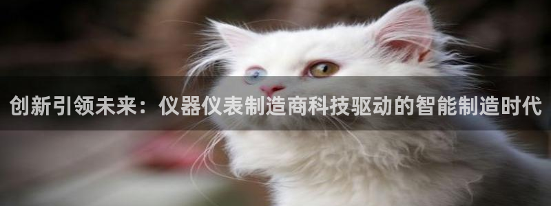 欧亿2娱乐诗星22650j：创新引领未来：仪器仪表制造商科技