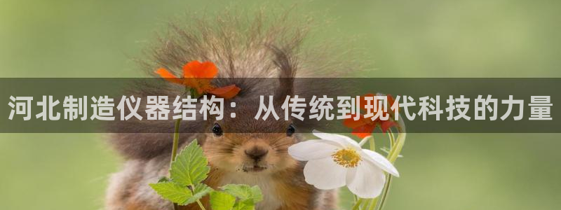 星辉娱乐进入欧联杯：河北制造仪器结构：从传统到现代科技的力量