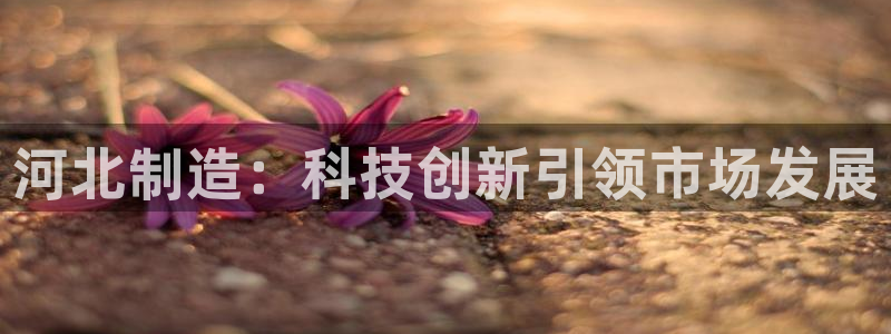 星欧娱乐扣款怎么回事：河北制造：科技创新引领市场发展