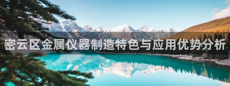 星欧娱乐官方微博：密云区金属仪器制造特色与应用优势分析