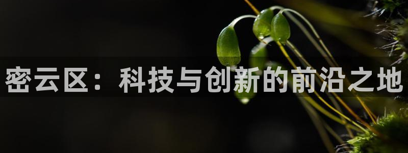 欧乐星城休闲娱乐：密云区：科技与创新的前沿之地