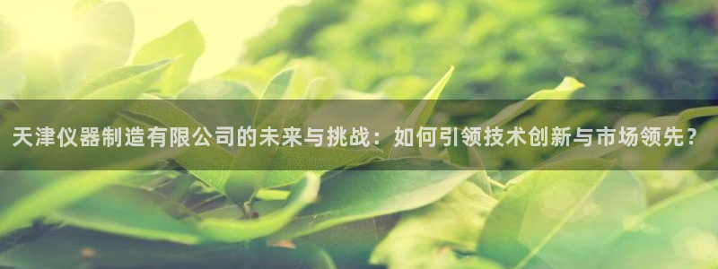 星欧娱乐娱乐是正规的吗：天津仪器制造有限公司的未来与挑战：如