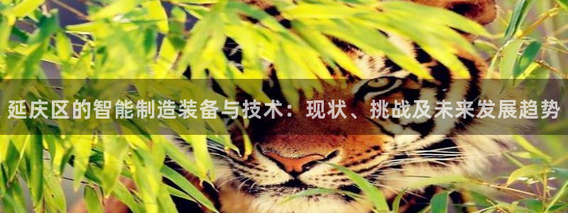 欧星娱乐彩票去：延庆区的智能制造装备与技术：现状、挑战及未来