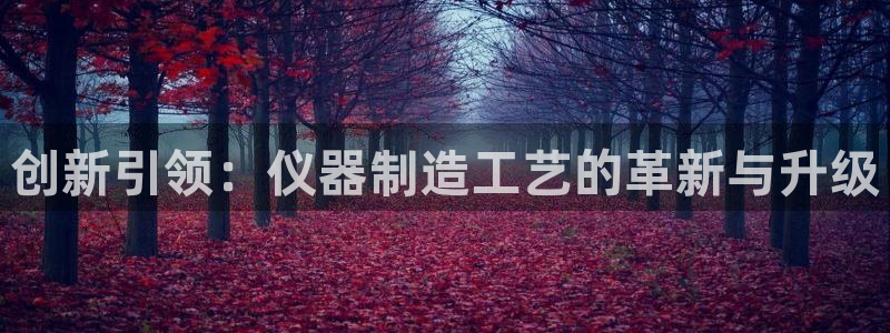 星欧娱乐官网免费下载：创新引领：仪器制造工艺的革新与升级