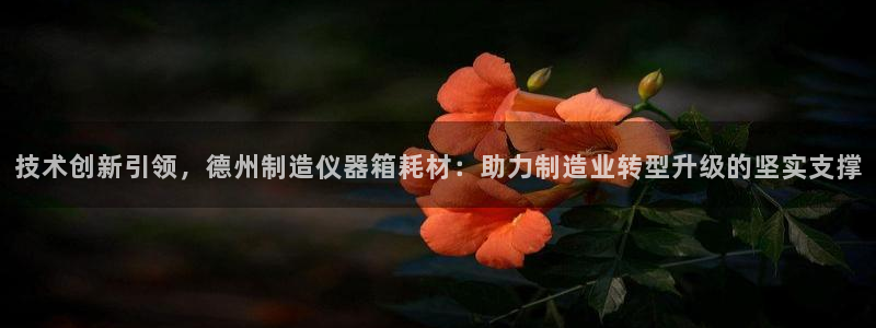 欧星开户娱乐：技术创新引领，德州制造仪器箱耗材：助力制造业转