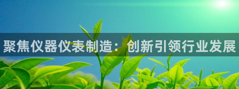欧星娱乐棋牌：聚焦仪器仪表制造：创新引领行业发展