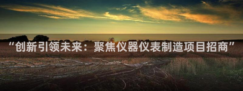 匠星娱乐欧尼老师：“创新引领未来：聚焦仪器仪表制造项目招商”