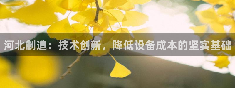 星娱乐欧嘉78778：河北制造：技术创新，降低设备成本的坚实