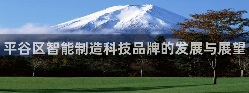 星欧娱乐官方网页版入口：平谷区智能制造科技品牌的发展与展望