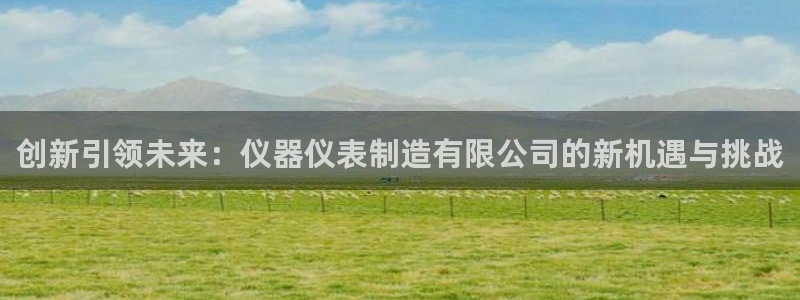 星欧娱乐公司：创新引领未来：仪器仪表制造有限公司的新机遇与挑