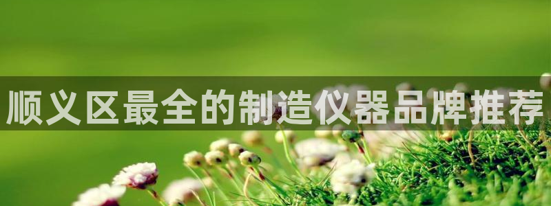 欧乐星城有没有娱乐设施：顺义区最全的制造仪器品牌推荐