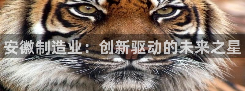 欧星国际娱乐：安徽制造业：创新驱动的未来之星