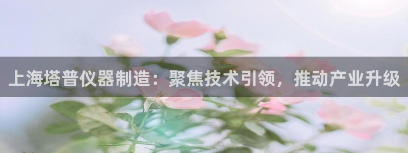 星欧娱乐扣费处理方法：上海塔普仪器制造：聚焦技术引领，推动产