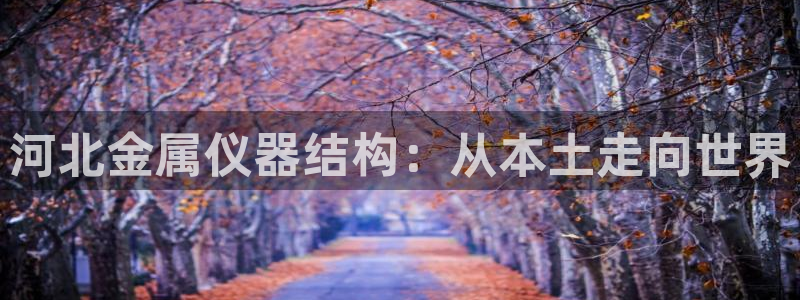 星欧娱乐招商非7O777：河北金属仪器结构：从本土走向世界