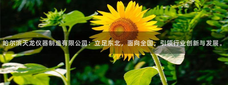 常州欧尚超市五星店娱乐：哈尔滨天龙仪器制造有限公司：立足东北