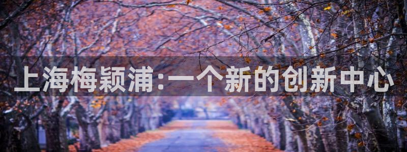 星欧娱乐606251：上海梅颖浦:一个新的创新中心